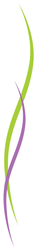 sv-lines-180x1200-purple-green